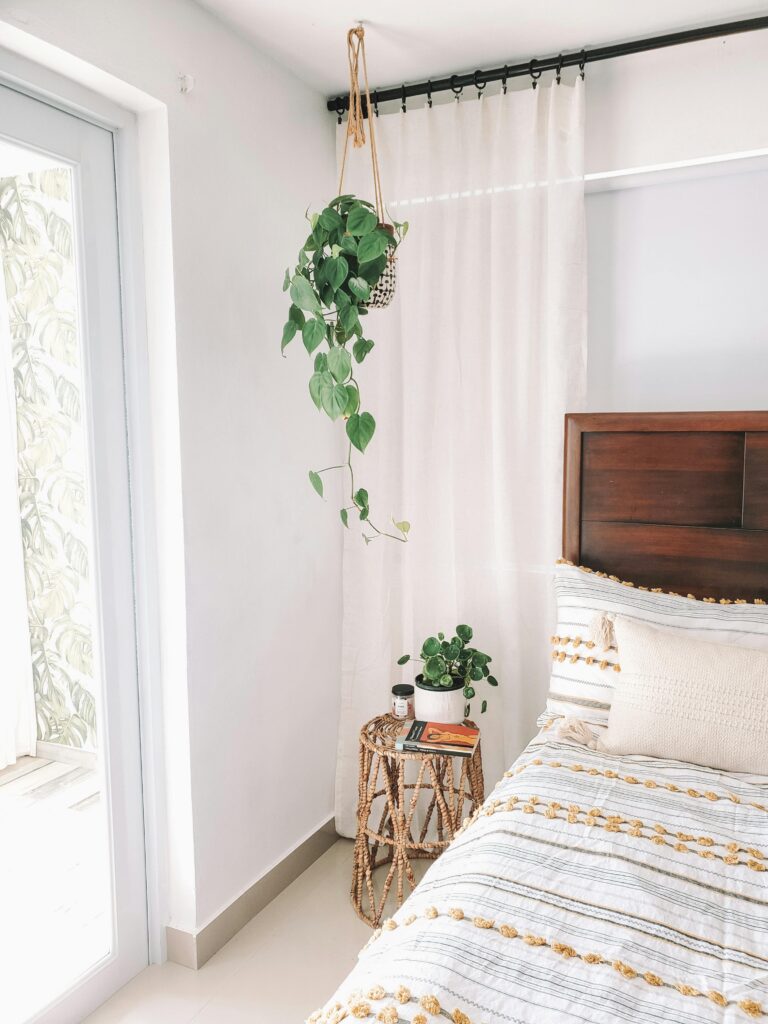 white bedroom with hanging plant