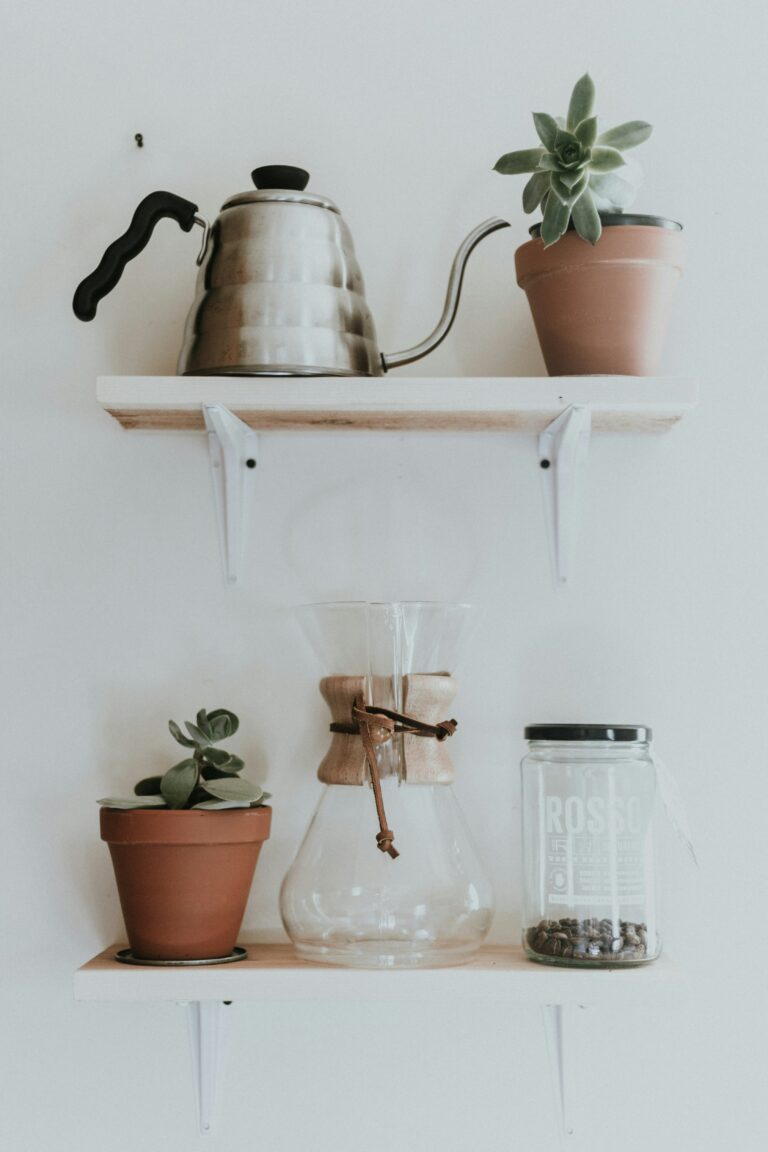 vertical wall mounted shelf holding plants and a coffee pot in small kitchen