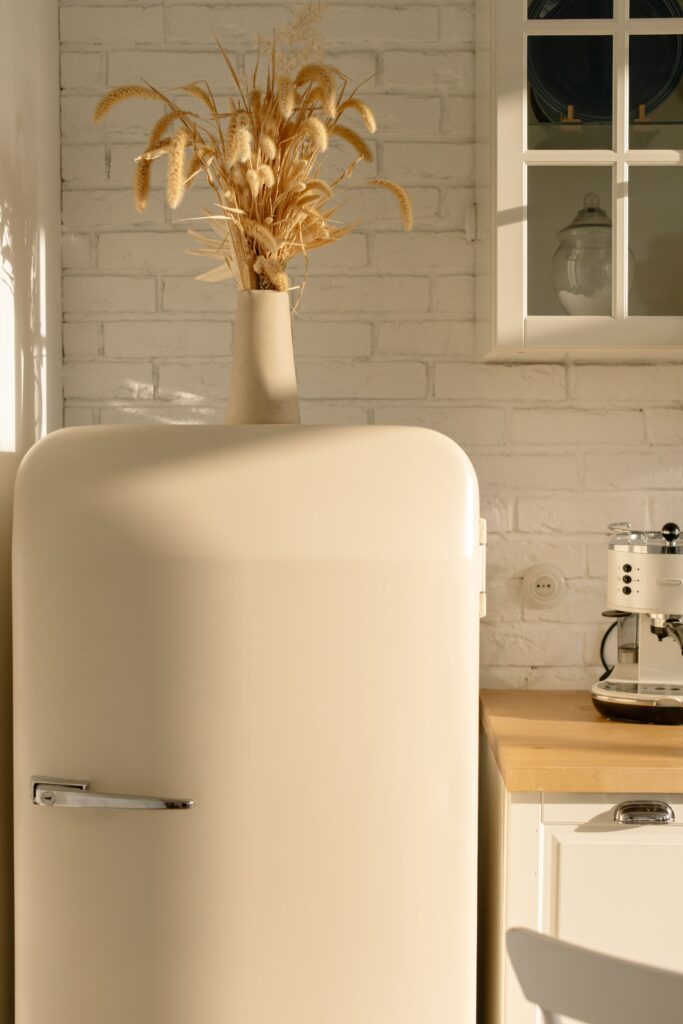 vintage kitchen fridge with plant on top and white backsplash