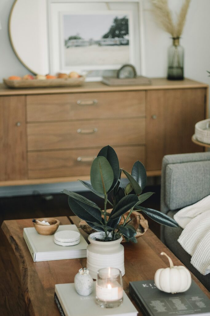 Neutral fall living room with a cermaic white pumpkin and a plant on coffee table