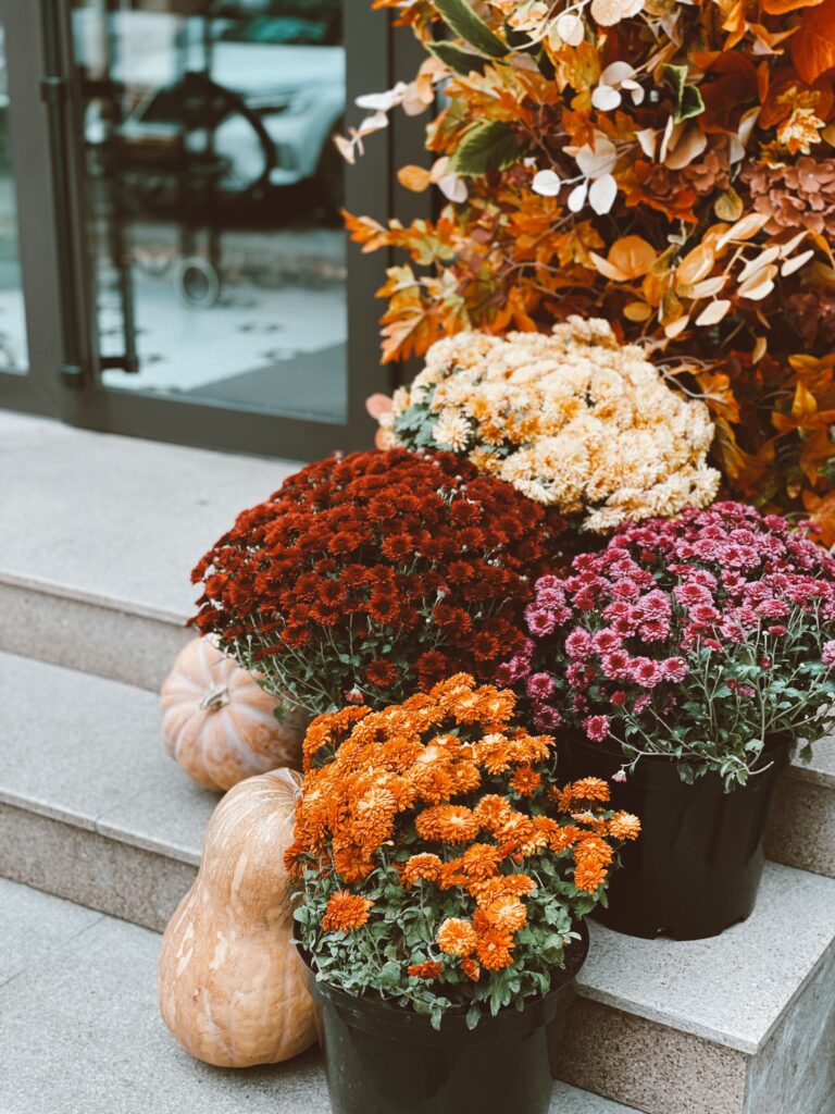 seasonal flowers and mum for fall front porch decor